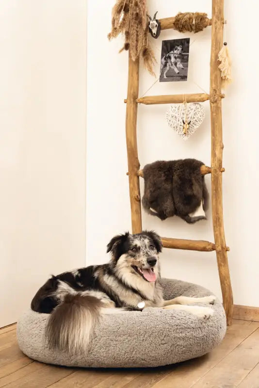 Beeztees Orthopedische Hondenmand Jaxx 70 cm — Grijs