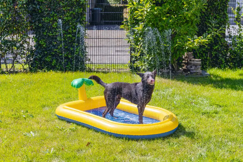 Beeztees Palmy Hondenzwembad