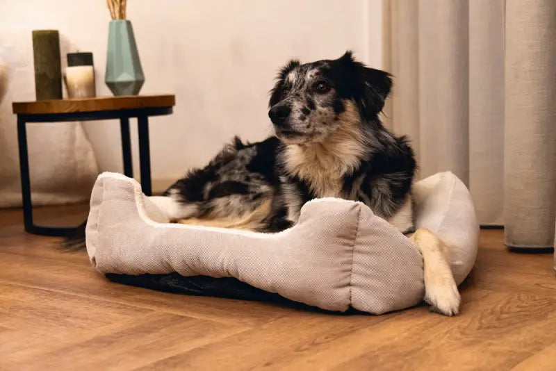 Beeztees Pluche Hondenmand Mogina 65x60x20 cm — Grijs