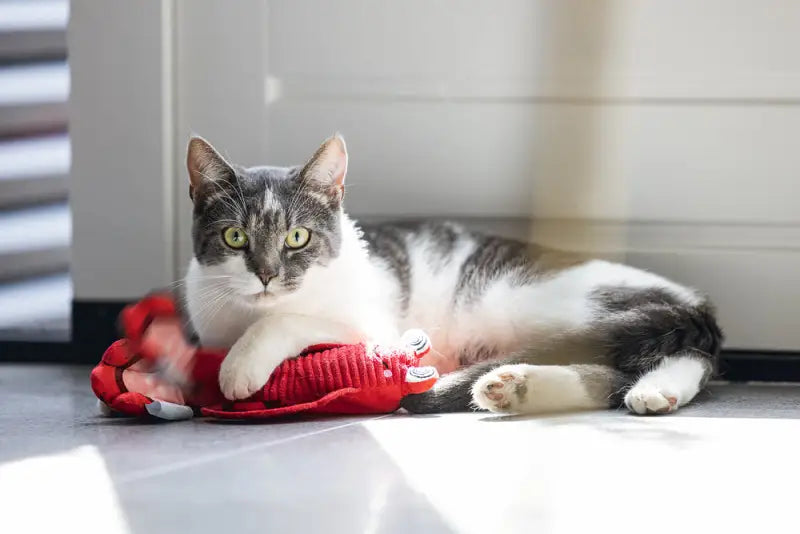 Beeztees Pluche Kattenspeelgoed Bewegende Kreeft