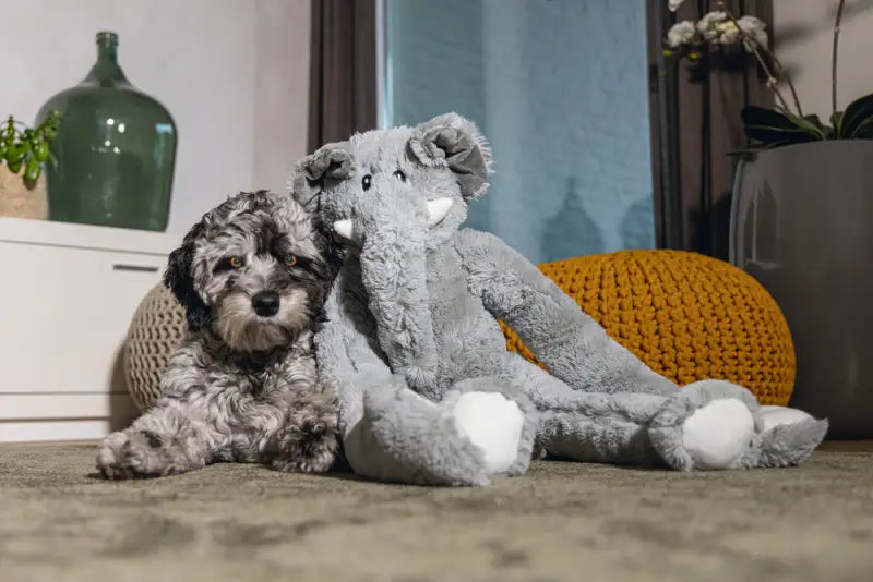 Beeztees Pluche Olifant James XL grijs 80 cm