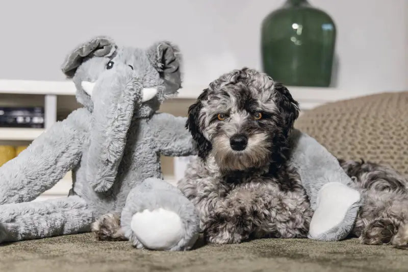 Beeztees Pluche Olifant James XL grijs 80 cm