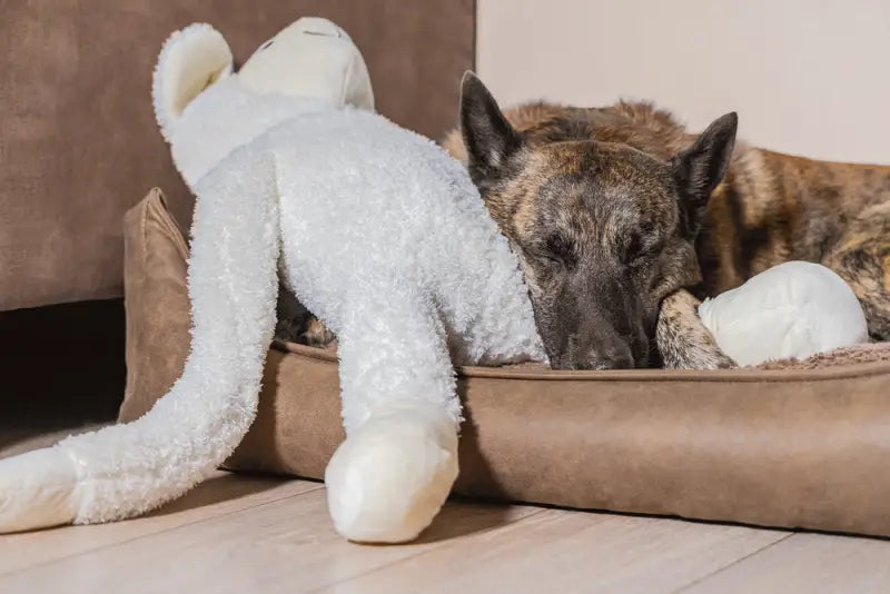 Beeztees Pluche Schaap Jessy XL wit 80 cm