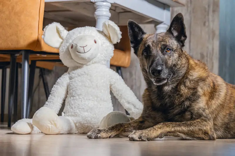 Beeztees Pluche Schaap Jessy XL wit 80 cm