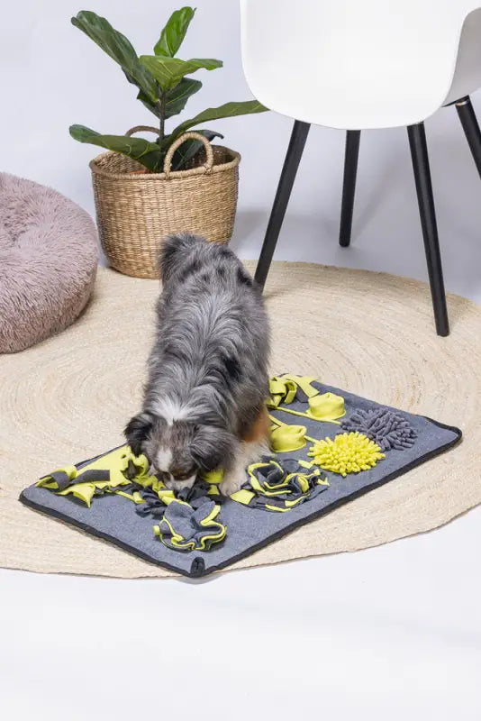 Beeztees Pluche Snuffelmat Flora