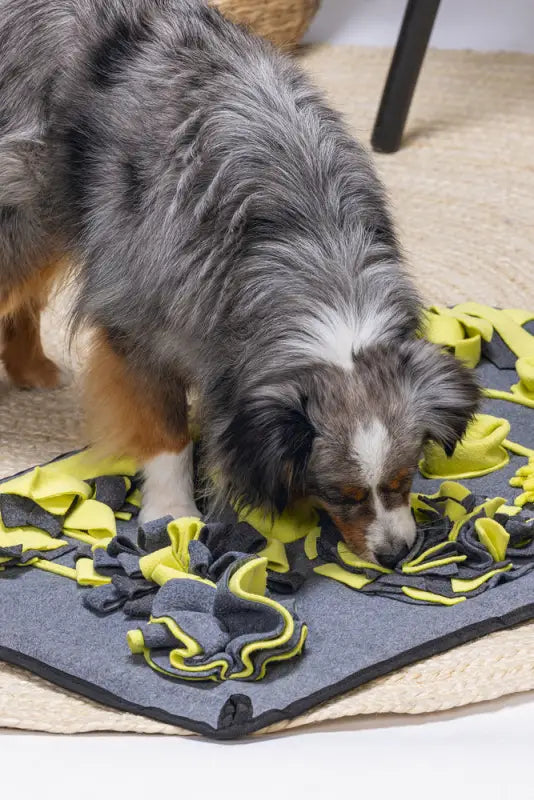 Beeztees Pluche Snuffelmat Flora