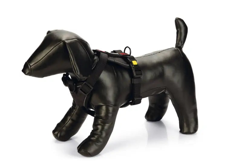 Beeztees Premium Comfort Y-Hondentuig Parinca 49-57 cm — Zwart