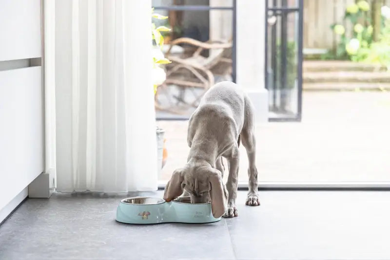 Beeztees Puppy Dinerset Droppy 34x17.5x6 cm — Groen
