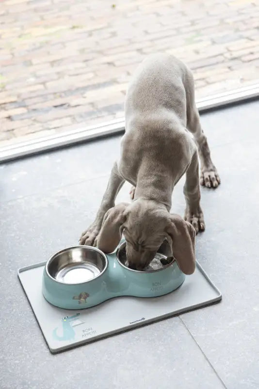 Beeztees Puppy Dinerset Droppy 34x17.5x6 cm — Groen