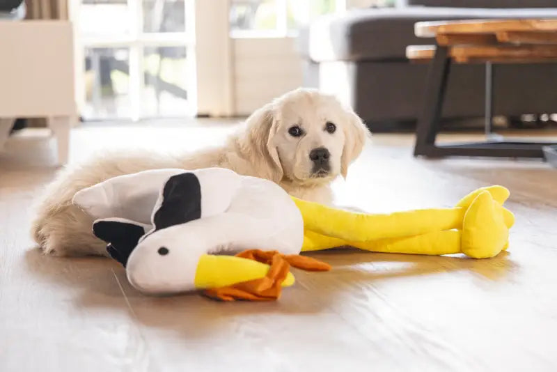 Beeztees Puppy Heartbeat Knuffel Ooievaar Bibi 75 cm