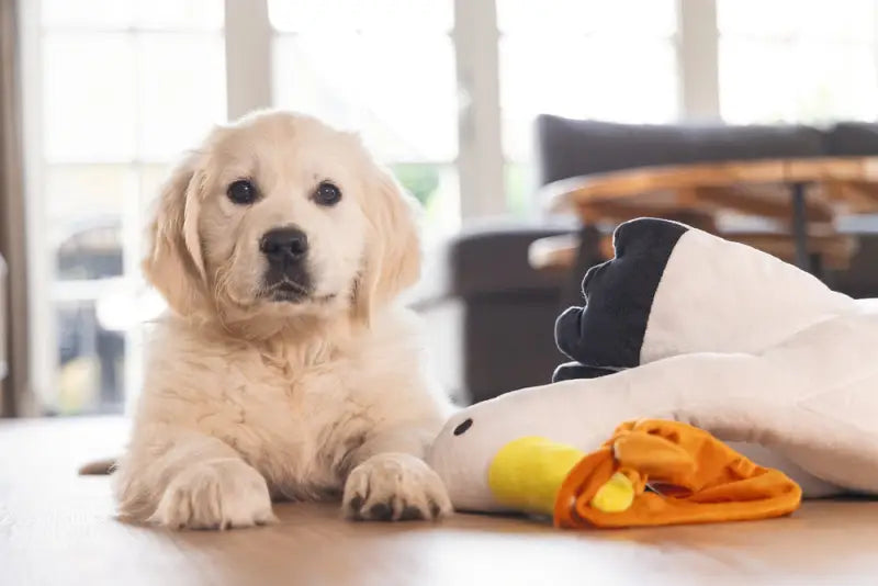 Beeztees Puppy Heartbeat Knuffel Ooievaar Bibi 75 cm