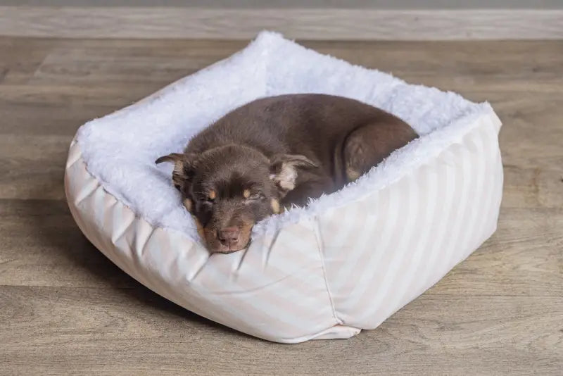 Beeztees Puppy Hondenmand Nappy 50x42x18 cm — Roze