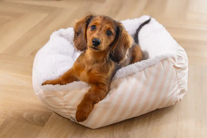 Beeztees Puppy Hondenmand Nappy 50x42x18 cm — Roze