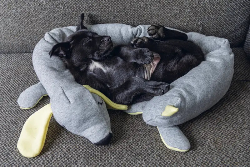 Beeztees Puppy Knuffel Cosy Doggy 120 cm