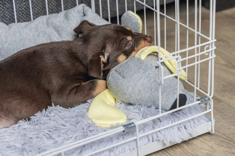 Beeztees Puppy Knuffel Cosy Doggy 120 cm