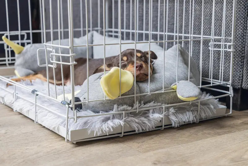 Beeztees Puppy Knuffel Cosy Doggy 120 cm