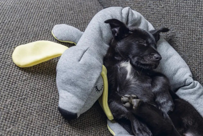 Beeztees Puppy Knuffel Cosy Doggy 120 cm