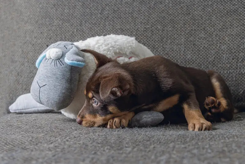 Beeztees Puppy Knuffel Heartbeat 35 cm