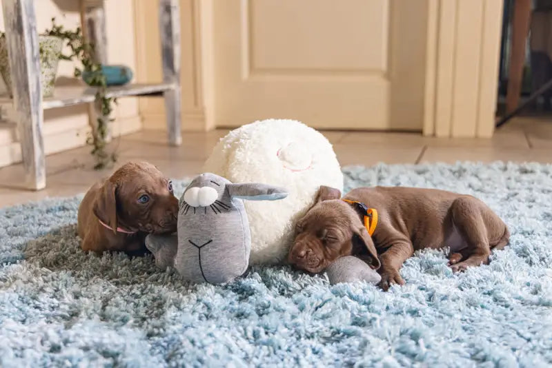 Beeztees Puppy Knuffel Heartbeat 35 cm