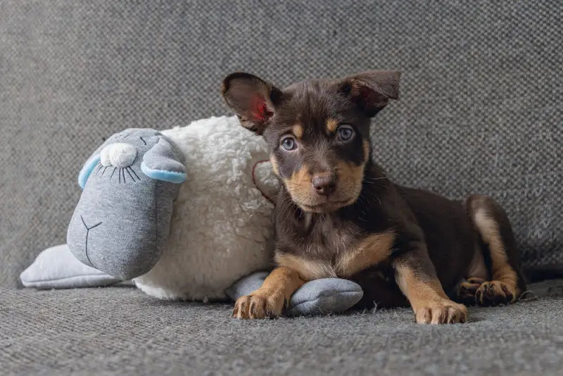 Beeztees Puppy Knuffel Heartbeat 35 cm