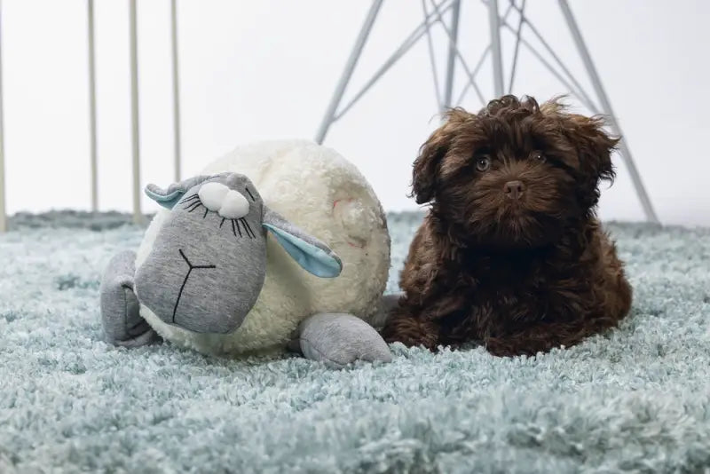 Beeztees Puppy Knuffel Heartbeat 35 cm