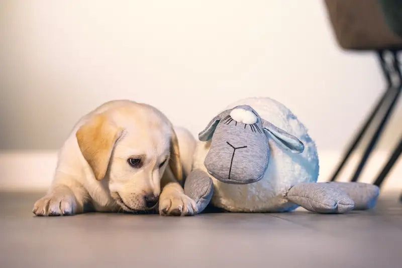 Beeztees Puppy Knuffel Heartbeat 35 cm