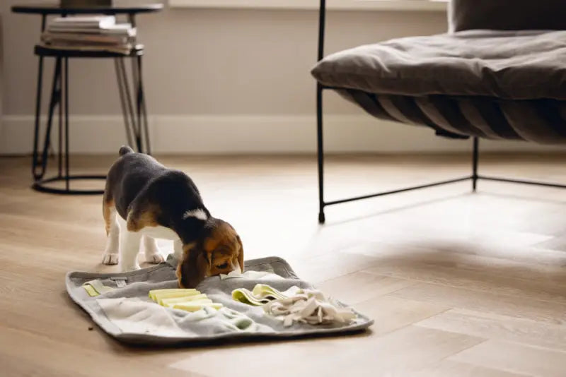 Beeztees Puppy Snuffelmat Doeka