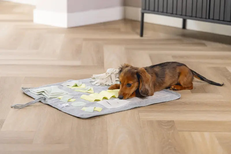 Beeztees Puppy Snuffelmat Doeka