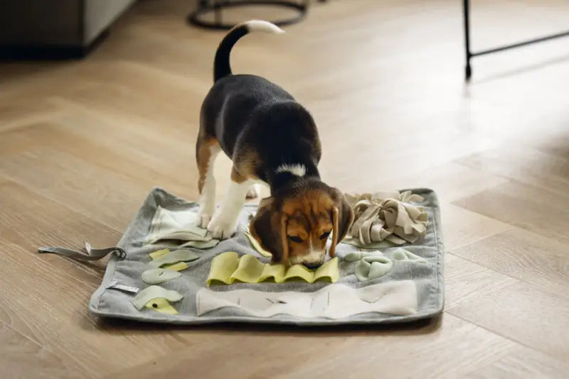 Beeztees Puppy Snuffelmat Doeka