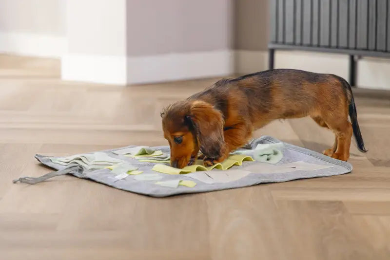 Beeztees Puppy Snuffelmat Doeka