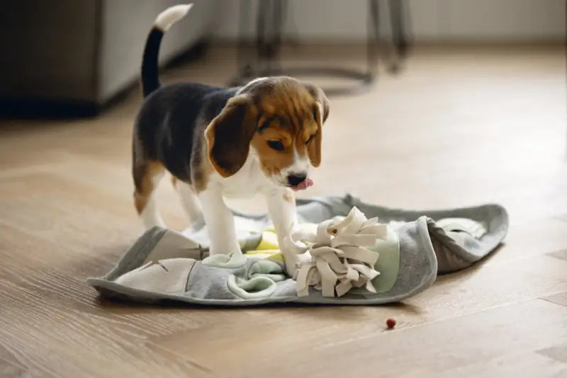 Beeztees Puppy Snuffelmat Doeka