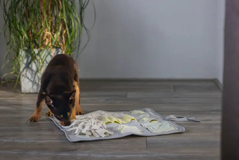 Beeztees Puppy Snuffelmat Doeka