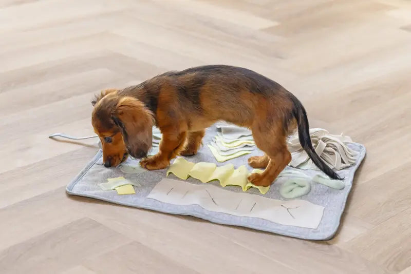 Beeztees Puppy Snuffelmat Doeka