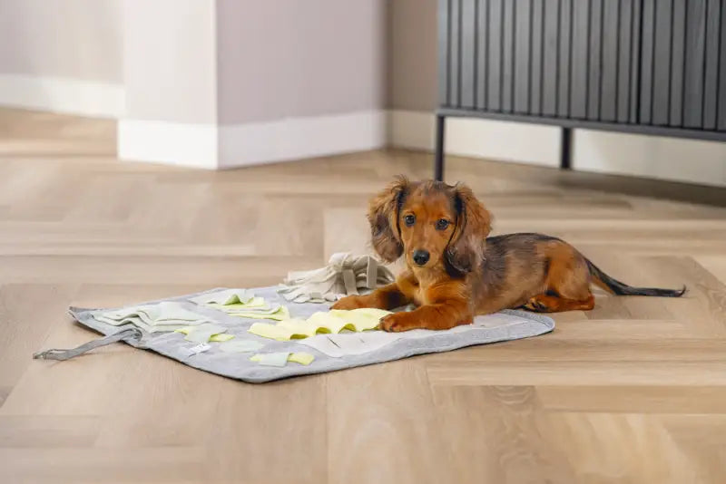 Beeztees Puppy Snuffelmat Doeka