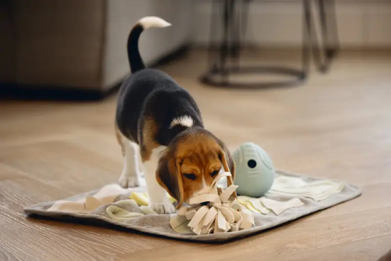 Beeztees Puppy Snuffelmat Doeka