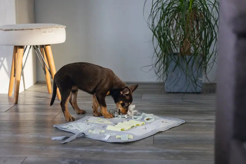 Beeztees Puppy Snuffelmat Doeka