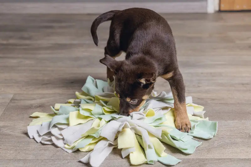 Beeztees Puppy Snuffelmat Sniffy