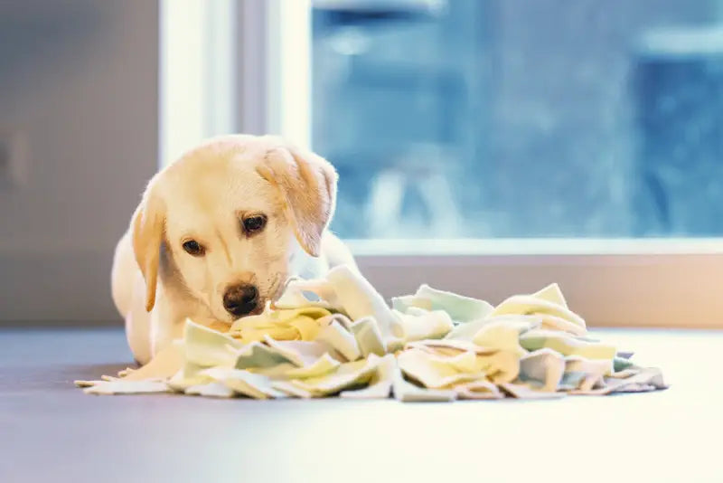 Beeztees Puppy Snuffelmat Sniffy