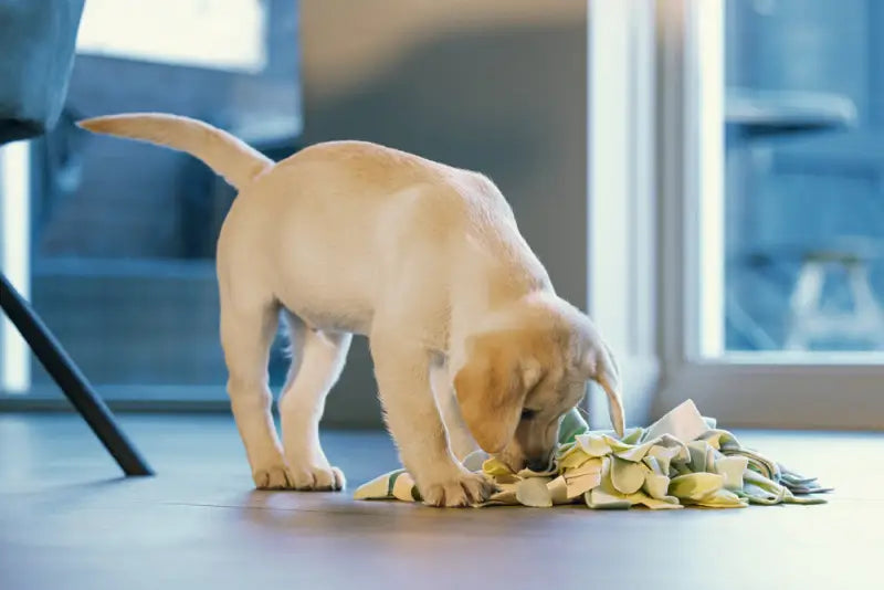 Beeztees Puppy Snuffelmat Sniffy