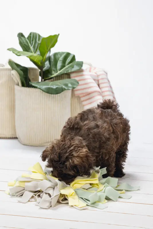 Beeztees Puppy Snuffelmat Sniffy