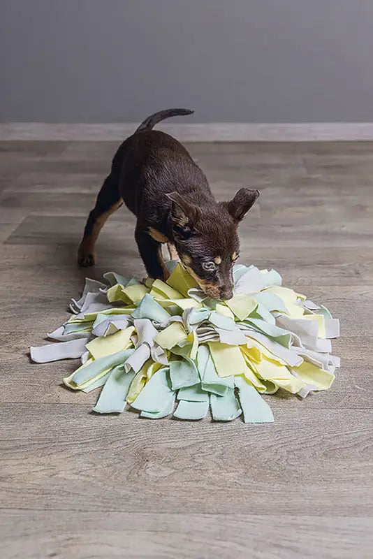 Beeztees Puppy Snuffelmat Sniffy