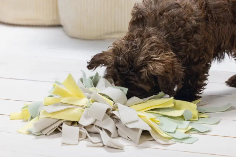 Beeztees Puppy Snuffelmat Sniffy