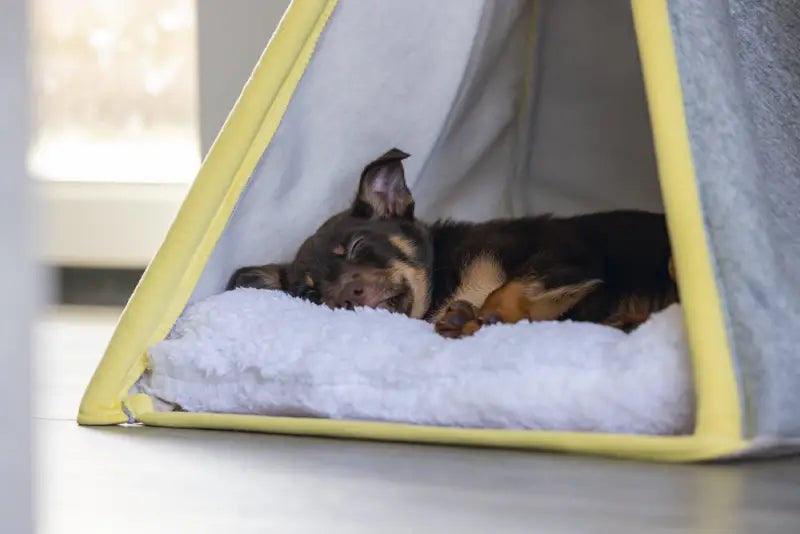 Beeztees Puppy Tipi Tent Aika 55x55x85 cm — Grijs