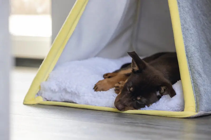 Beeztees Puppy Tipi Tent Aika 55x55x85 cm — Grijs