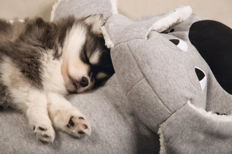 Beeztees Puppy XL-Knuffel Boomba 70 cm