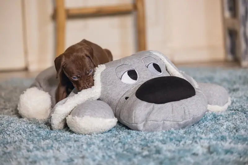 Beeztees Puppy XL-Knuffel Boomba 70 cm