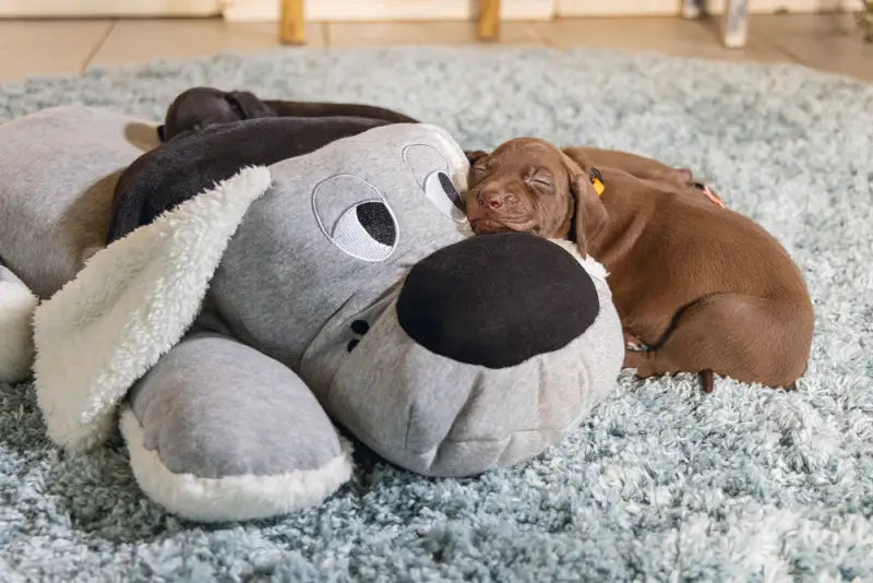 Beeztees Puppy XL-Knuffel Boomba 70 cm