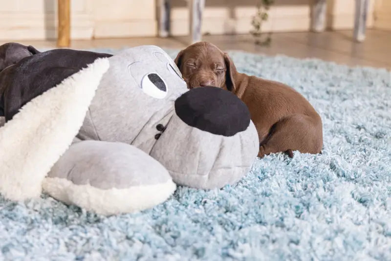 Beeztees Puppy XL-Knuffel Boomba 70 cm