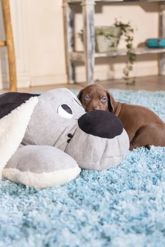 Beeztees Puppy XL-Knuffel Boomba 70 cm