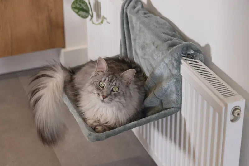 Beeztees Radiatorhangmat Sleepy 46x31x24 cm — Groen